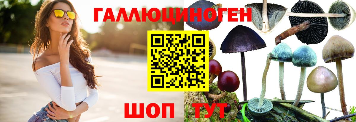 Галлюциногенные грибы Cubensis Южноуральск